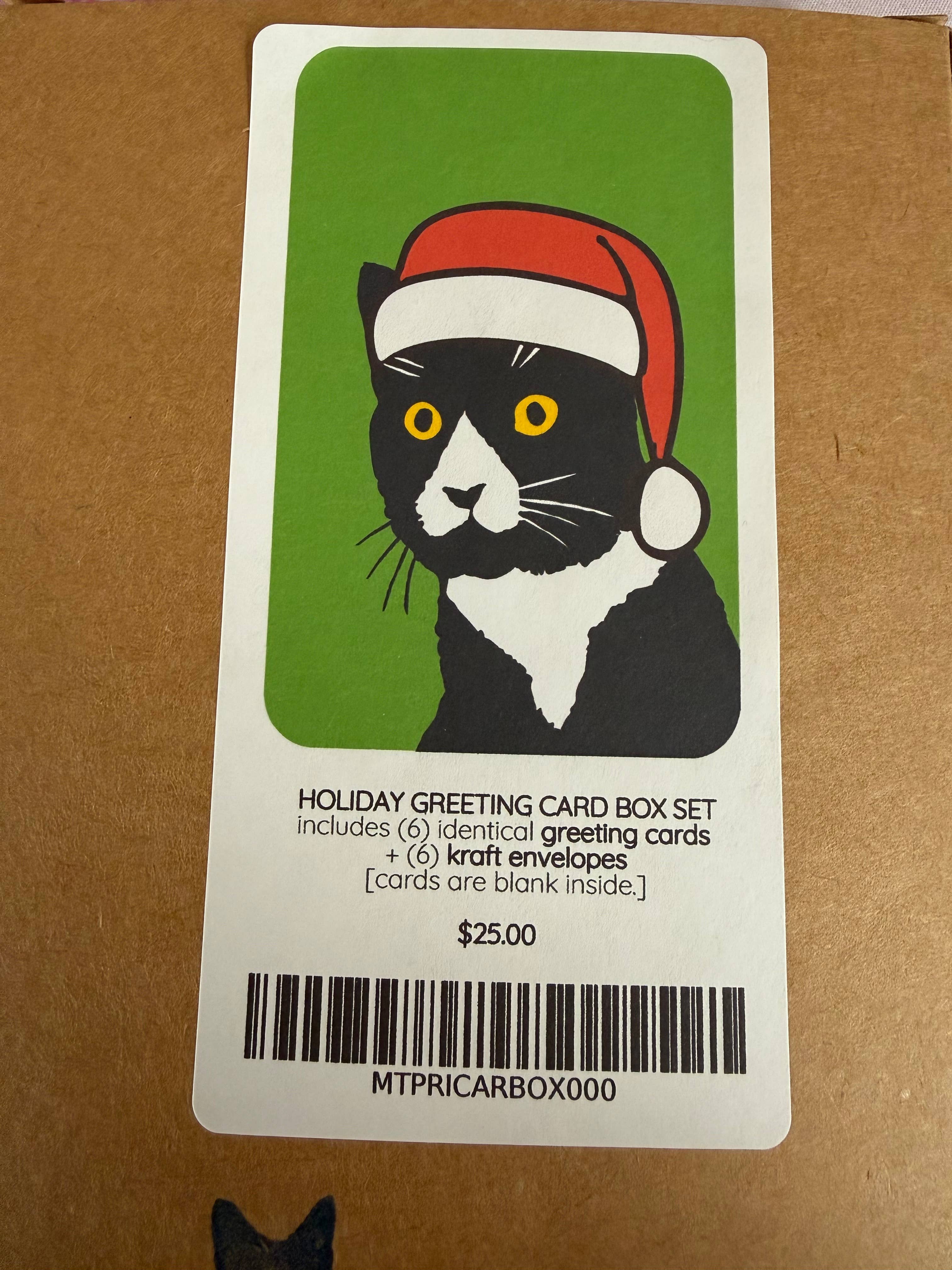 Mobius Theory – wholesale Julkort – Tomte Daft Katt Julkort Låda Set med Sex (6) Kort4