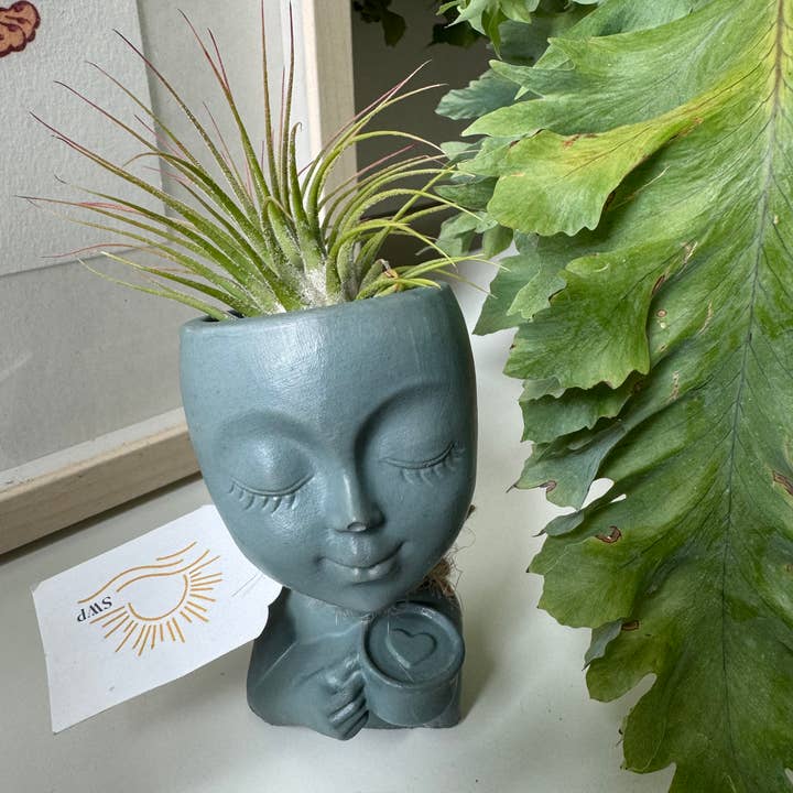 recipiente per bere caffè in cemento per la vendita all'ingrosso da parte di Sunny Way Products