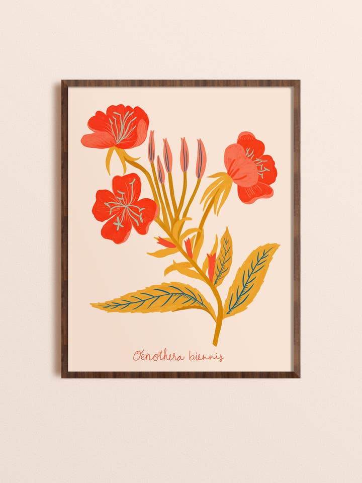 Red Evening Primrose Art Print - Botanical Illustration for wholesale by Dream Folk Studio