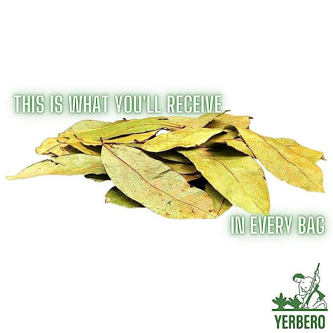 YERBERO - Wholesale Loose Tea - Yerbero - Whole Dried Graviola Soursop Leaves (4 oz - 330+ Leaves Per Bag) Hoja De Guanabana Seca1