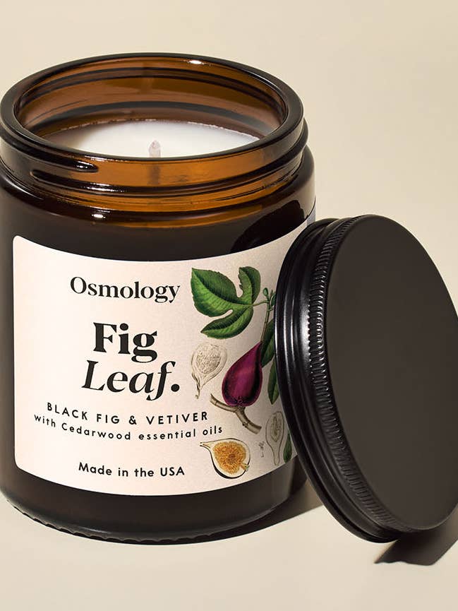 Fig Leaf Amber Jar Candle - Black Fig Vetiver & Cedarwood for wholesale by Osmology