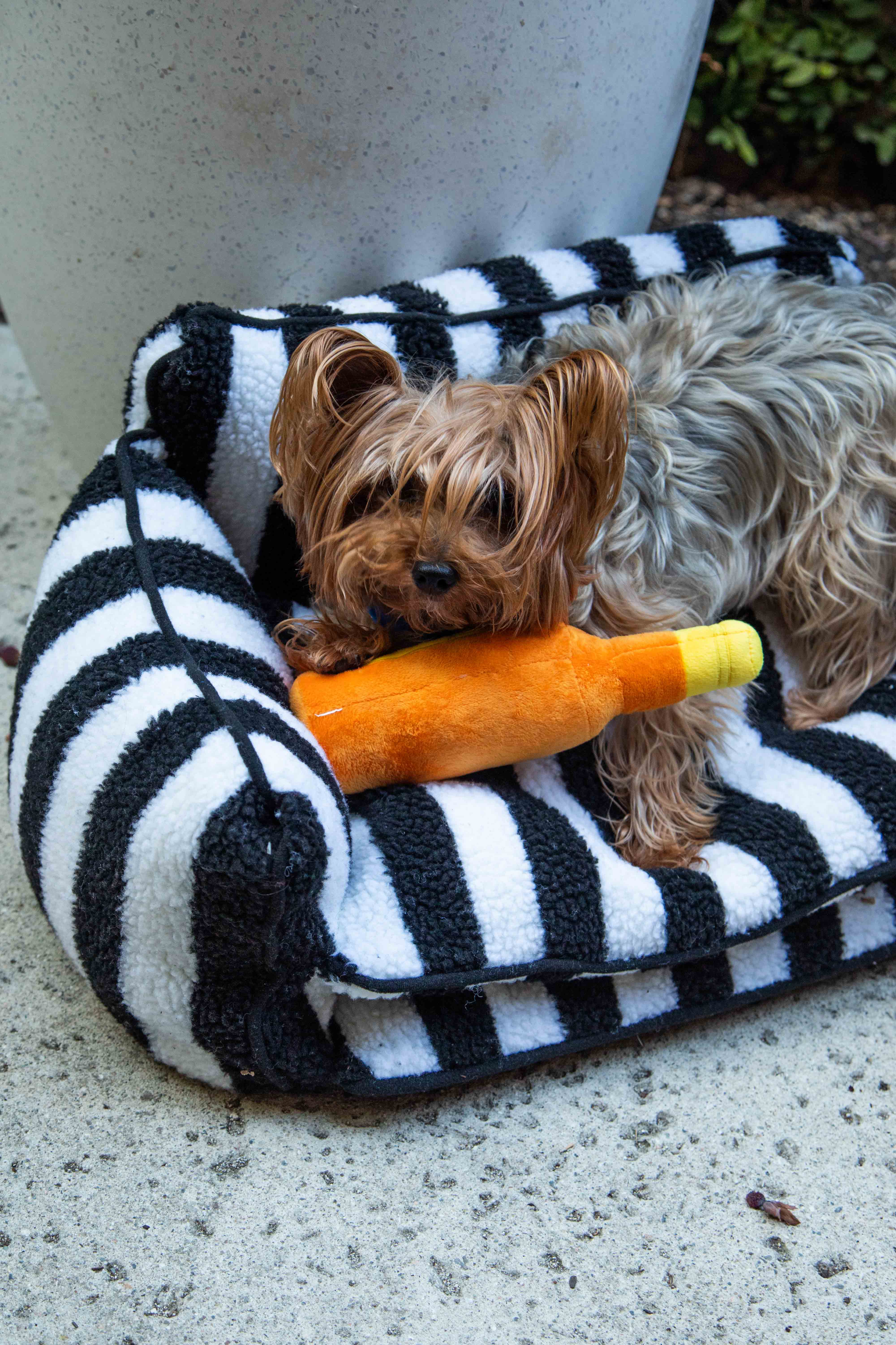 Glow Pups - Vendita all'ingrosso Letto - Cani - Cuccia Divano a Righe Bianche e Nere Chic Comfort per Cani12