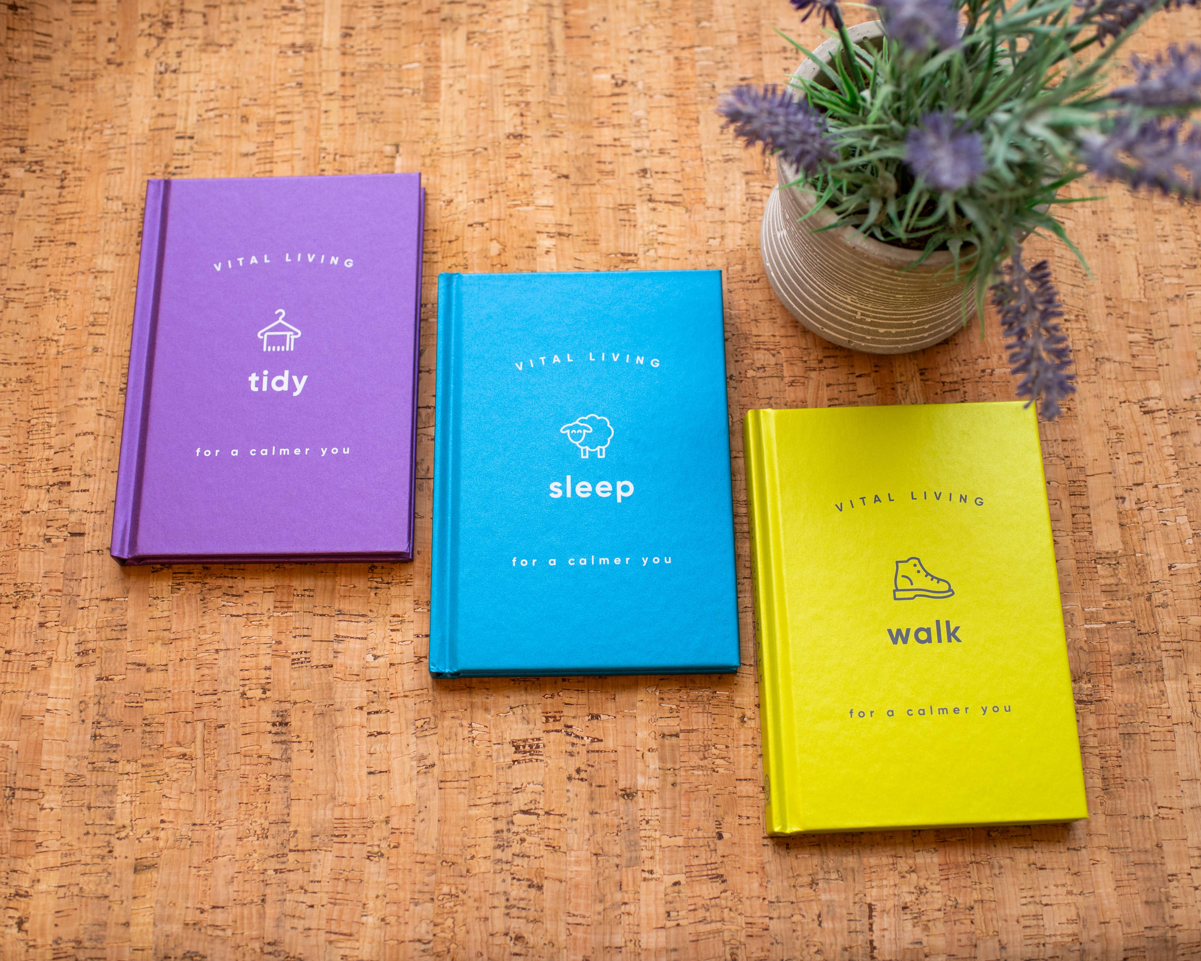 Red Wheel/Weiser LLC - Wholesale Fitness & Exercise - Walk for a Calmer You8