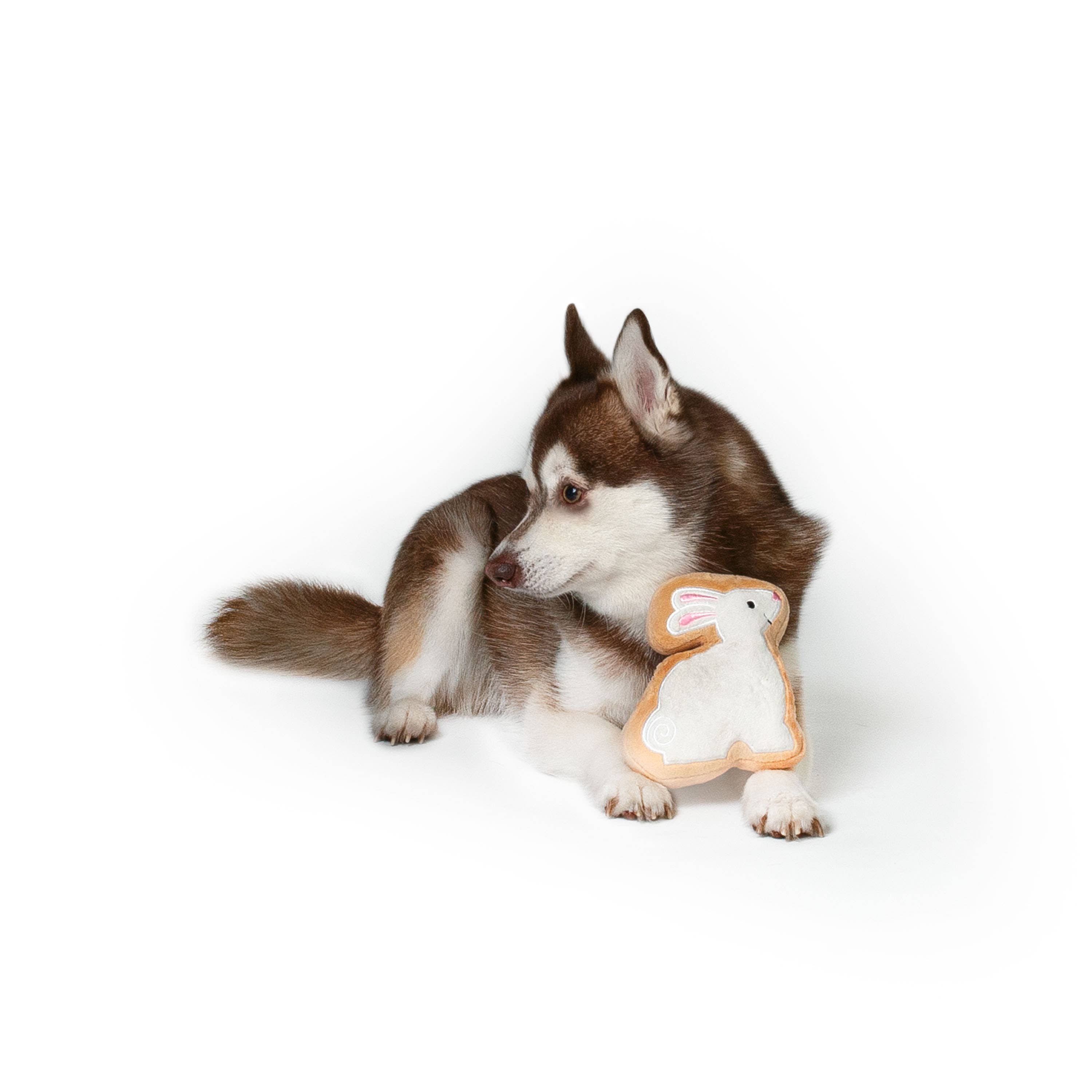 Midlee Designs - Wholesale Speeltje - Hond - Midlee Sugar Cookie Paashaas Hondenspeelgoed9