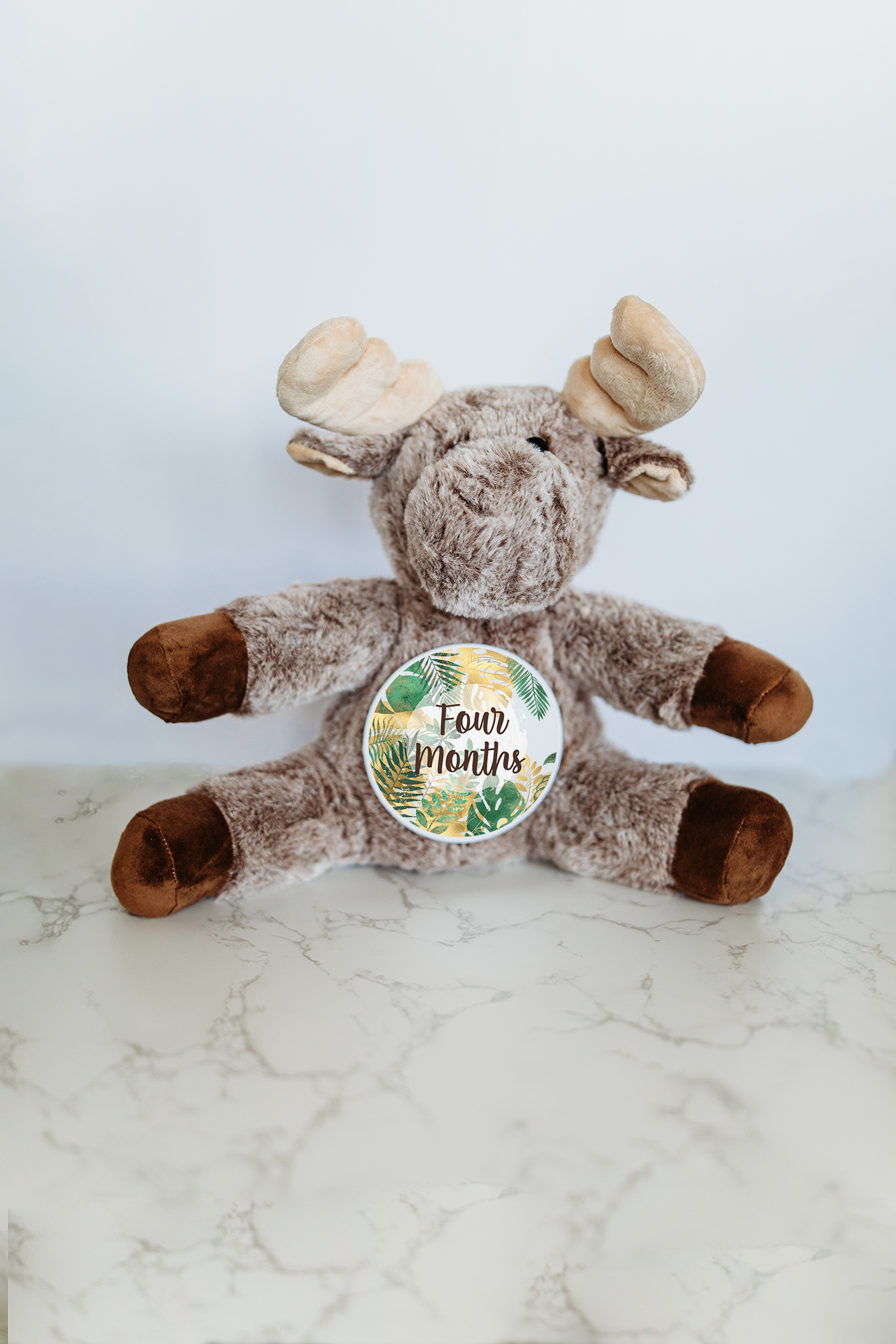 Grow With Me Baby Co - Wholesale Stuffed/Plush Toy - Kids & Baby - Monthly Milestone Tracker, Moose Stuffed Animal5