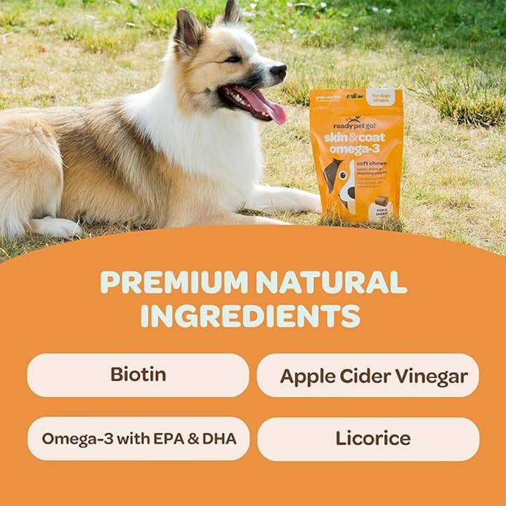 Ready Pet Go - Wholesale Pet Supplement - Dog - Omega 3 Fish Oil Supplement Chews for Dogs - Skin & Coat