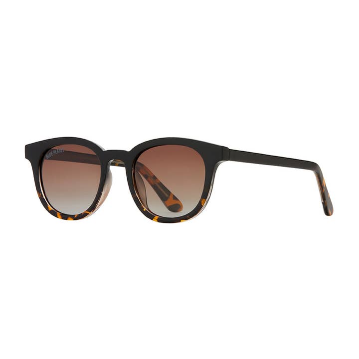 BP19917 - Gram - Onyx To Walnut Tortoise Fade / Gradient Br for wholesale by Blue Planet Eco-Eyewear