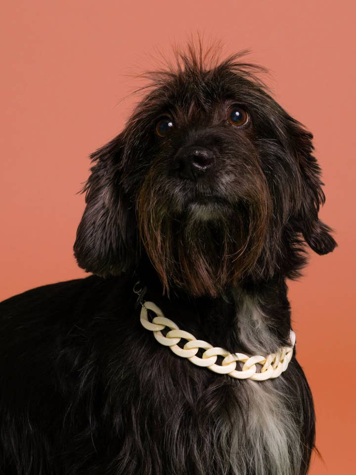 CHAINE GOURMETTE RESINE pour la vente par BAND OF HEARTBREAKERS