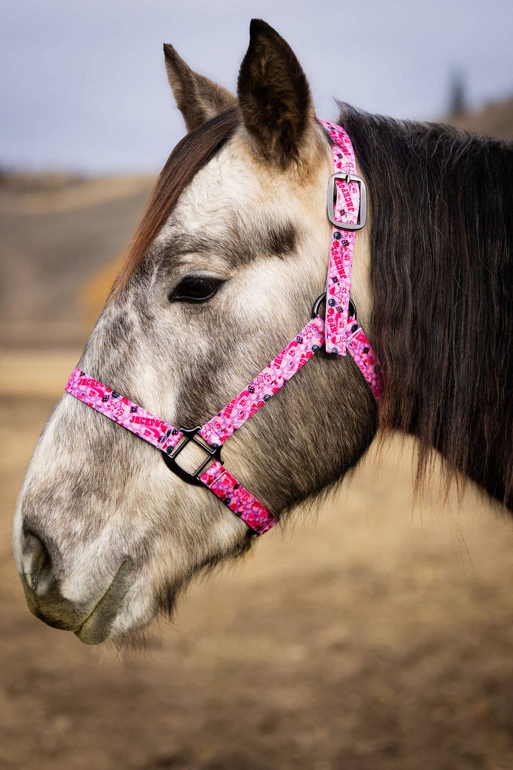 Schulz Equine - Wholesale Horseback Riding Gear - Nylon Halter - Horse Size29