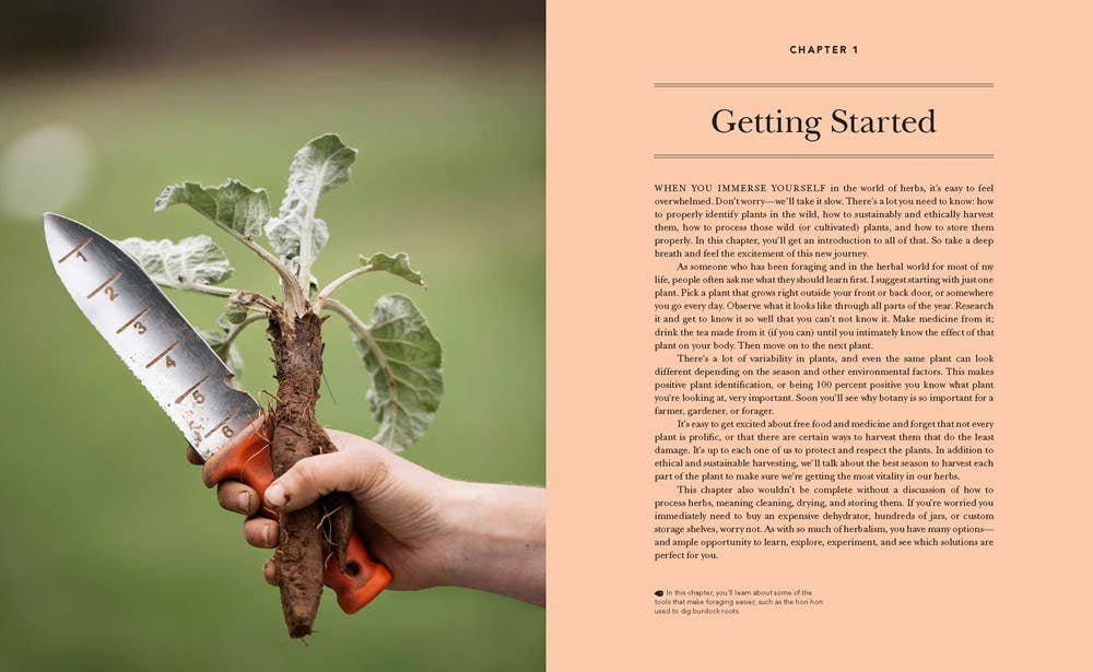 Microcosm Publishing & Distribution - Wholesale Nature & Outdoors - Herbal Handbook for Homesteaders: Farmed and Foraged1