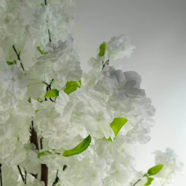 Leaf Design UK LTD - Wholesale Artificial Plant - Artificial Blossom Tree White 150cm 5ft Plant Potted