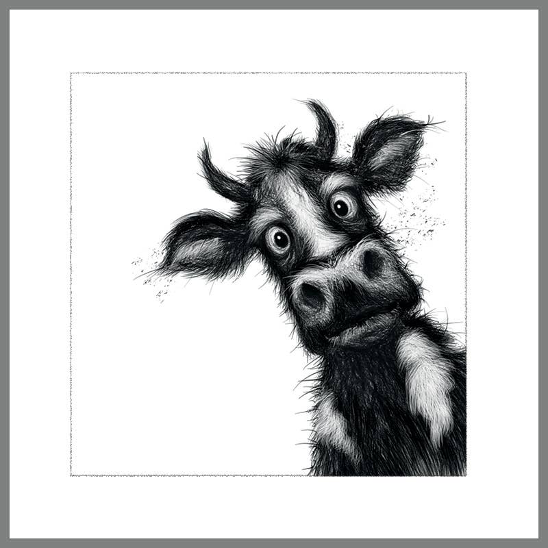 Rush Design Ltd – wholesale Everyday greeting card – Matilda the Cow0