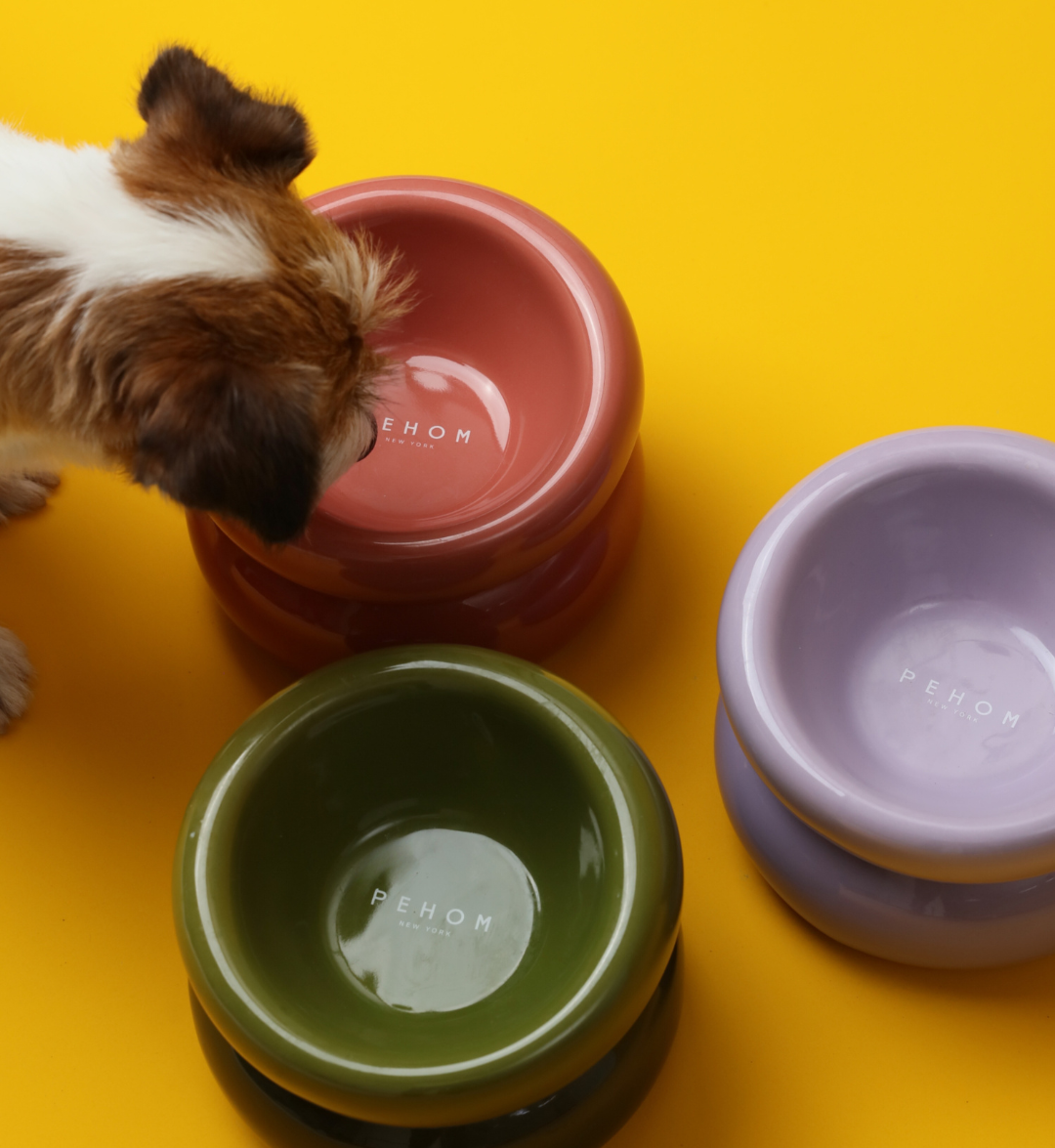 PEHOM - Wholesale Pet Bowl - Cat/Dog - Soufflé Pet Bowl - Purple7