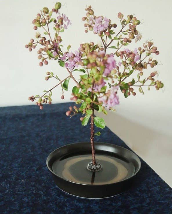 Gohobi （We cover U.S. import duties） - Wholesale Decorative Tabletop Object - Gohobi Ikebana Kenzan Stainless Steel Flower Stand16