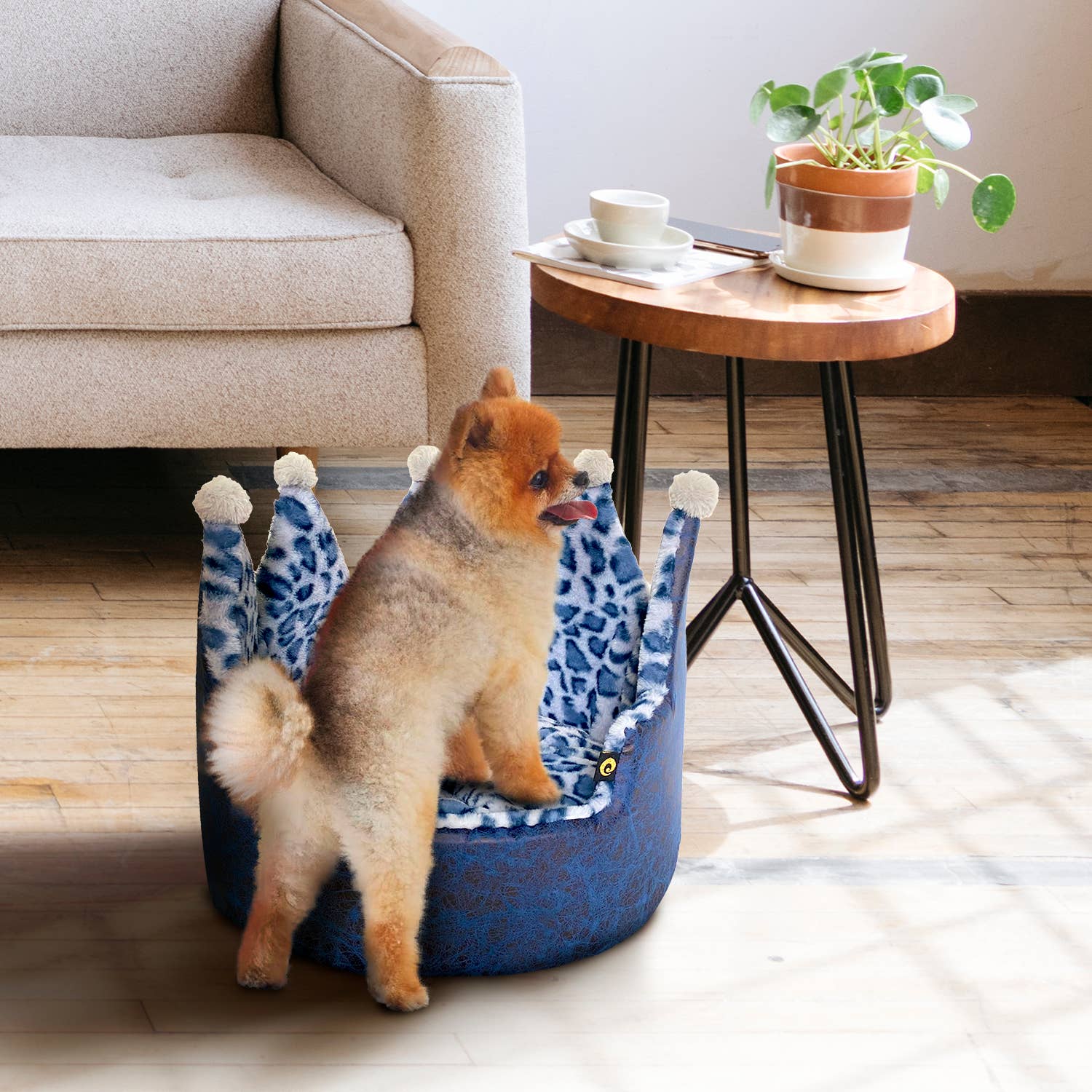 Precious Tails - Wholesale Pet Bed - Cat/Dog - Precious Tails Leopard Print Crown Pet Bed6