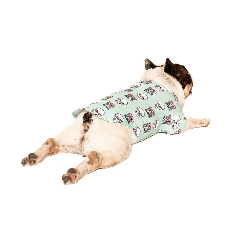 Vibrant Hound - Vente Chemise – chien - Chemise de chien Bad to the Bone4