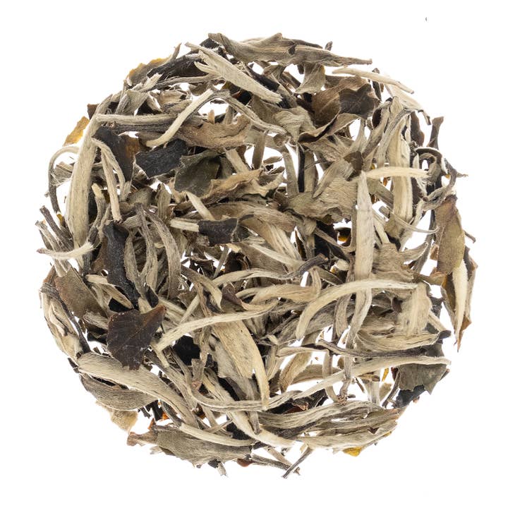 Silver Moonlight Wild White Tea for wholesale by The Tea Shoppe