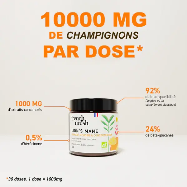 FRENCH MUSH - Wholesale Oral Supplement/Vitamin - The Lion’s Mane - Concentration - Powder1