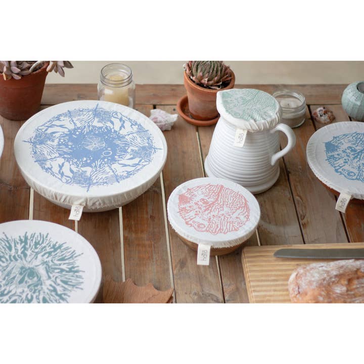 HALO || Dishcover Small Set - Beach House for wholesale by Spaza Store