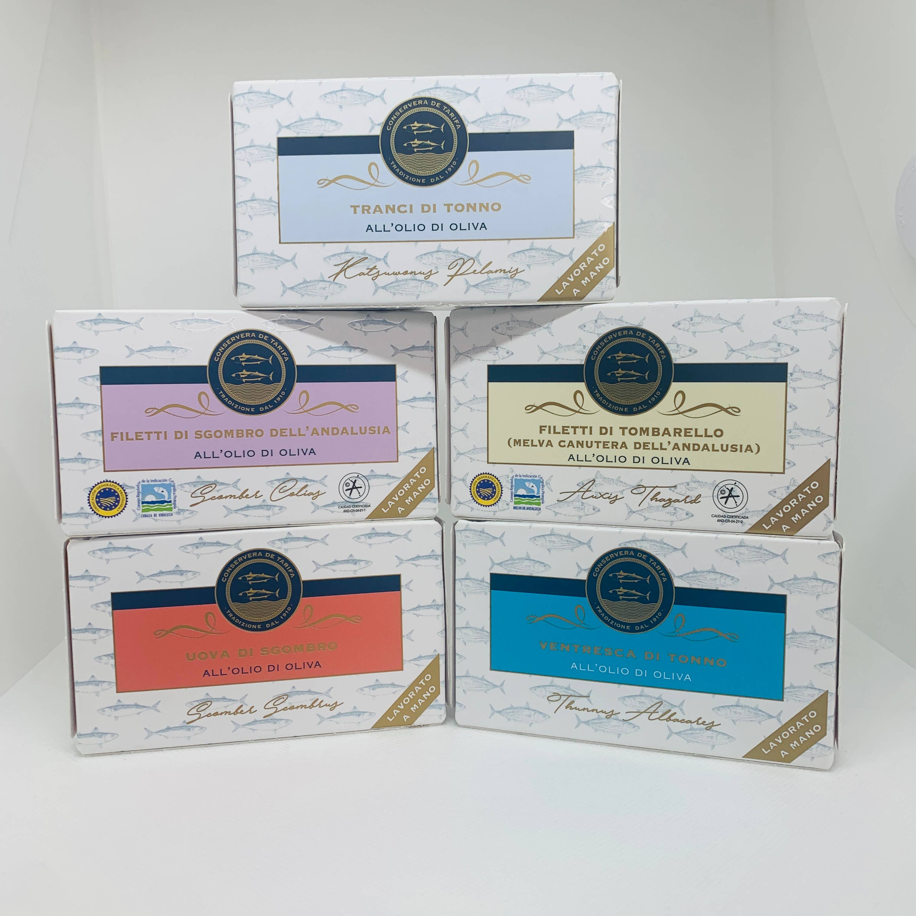 Conservera de Tarifa – Großhandel Fischkonserven – Packung mit 50 gemischten Dosen je 120 g1