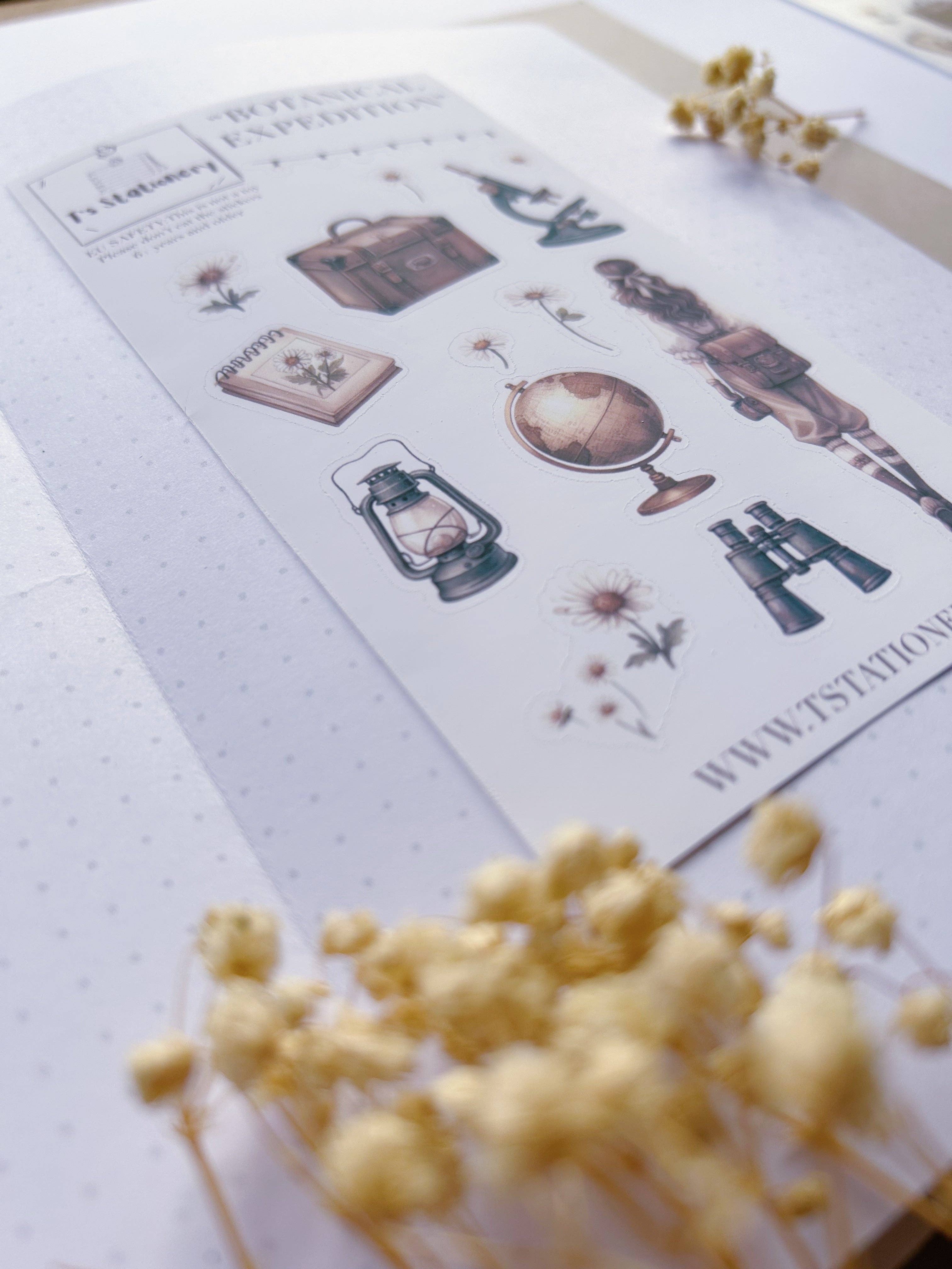 T's Stationery - Wholesale Sticker - "Botanical Expedition"  Sticker Sheet4