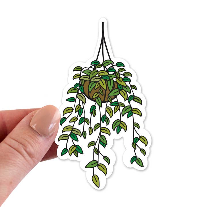 Hängepflanze | Aufkleber für den Großhandel von by brie