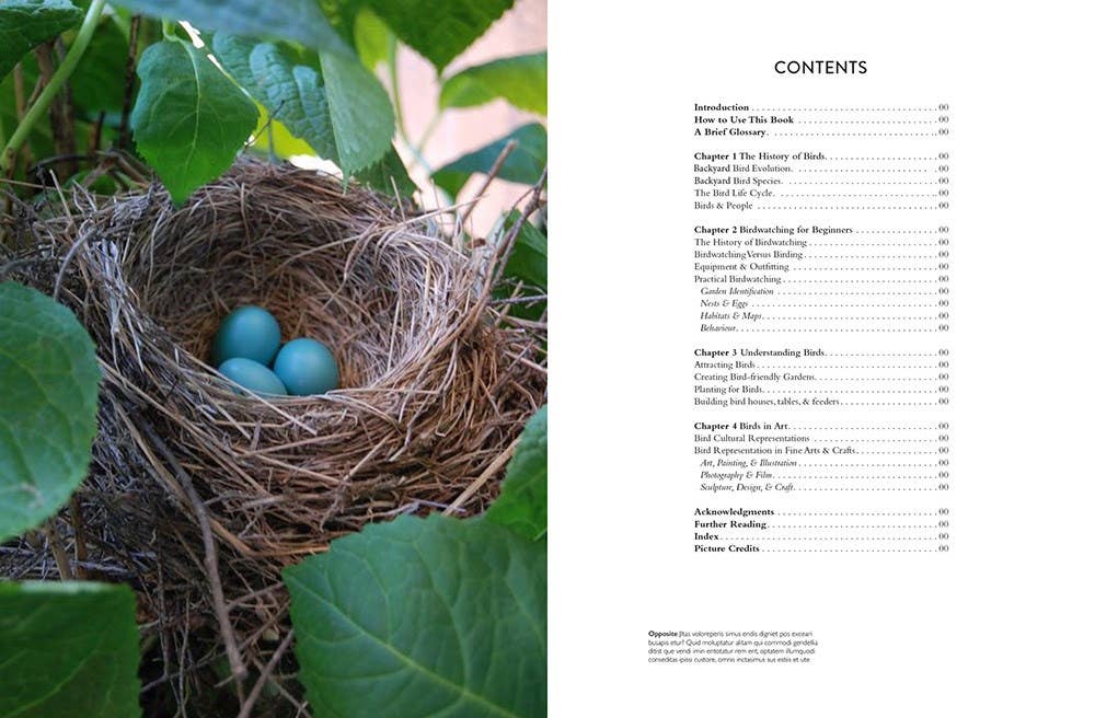 Abrams - Wholesale Nature & Outdoors Book - Backyard Birdwatcher's Bible3