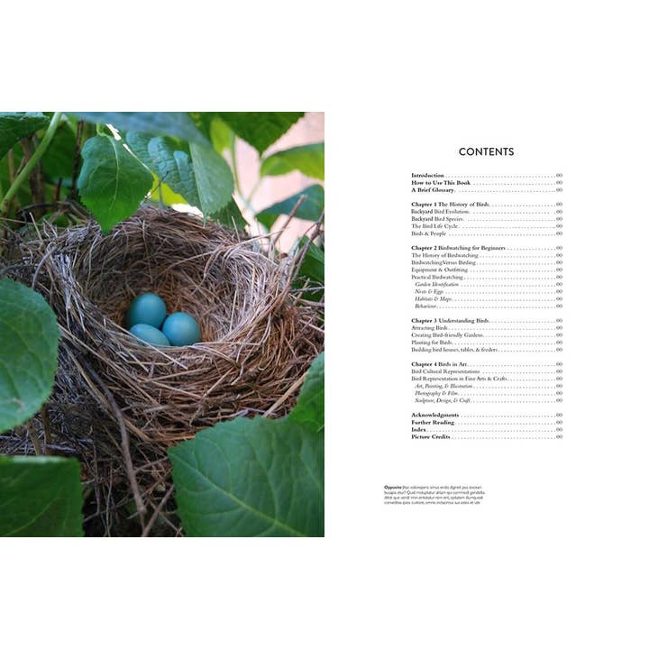 Abrams - Wholesale Nature & Outdoors Book - Backyard Birdwatcher's Bible3