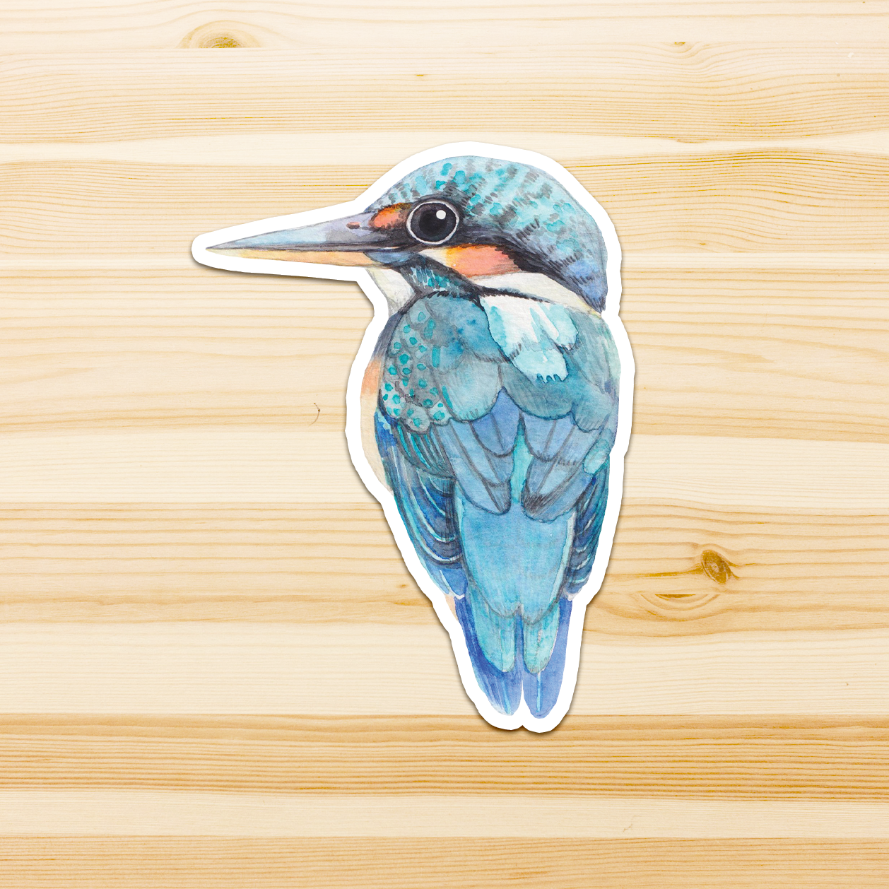 Watercolour By Cat - Vendita all'ingrosso Adesivo - Adesivo in vinile con grande uccello australiano18