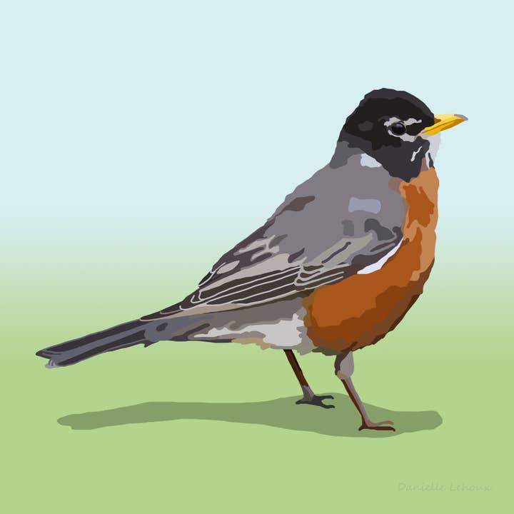 Impression artistique sur American Robin pour la vente par Lehoux Art