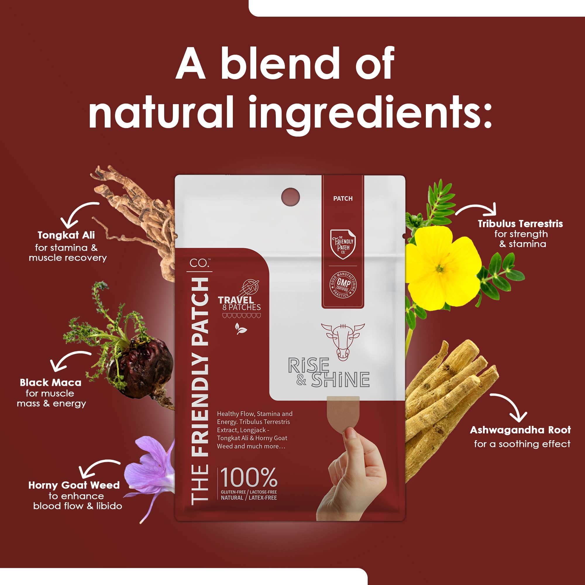 Friendly Patch CO - Wholesale Oral Supplement/Vitamin - The Friendly Patch Rise & Shine for men 8 patches1