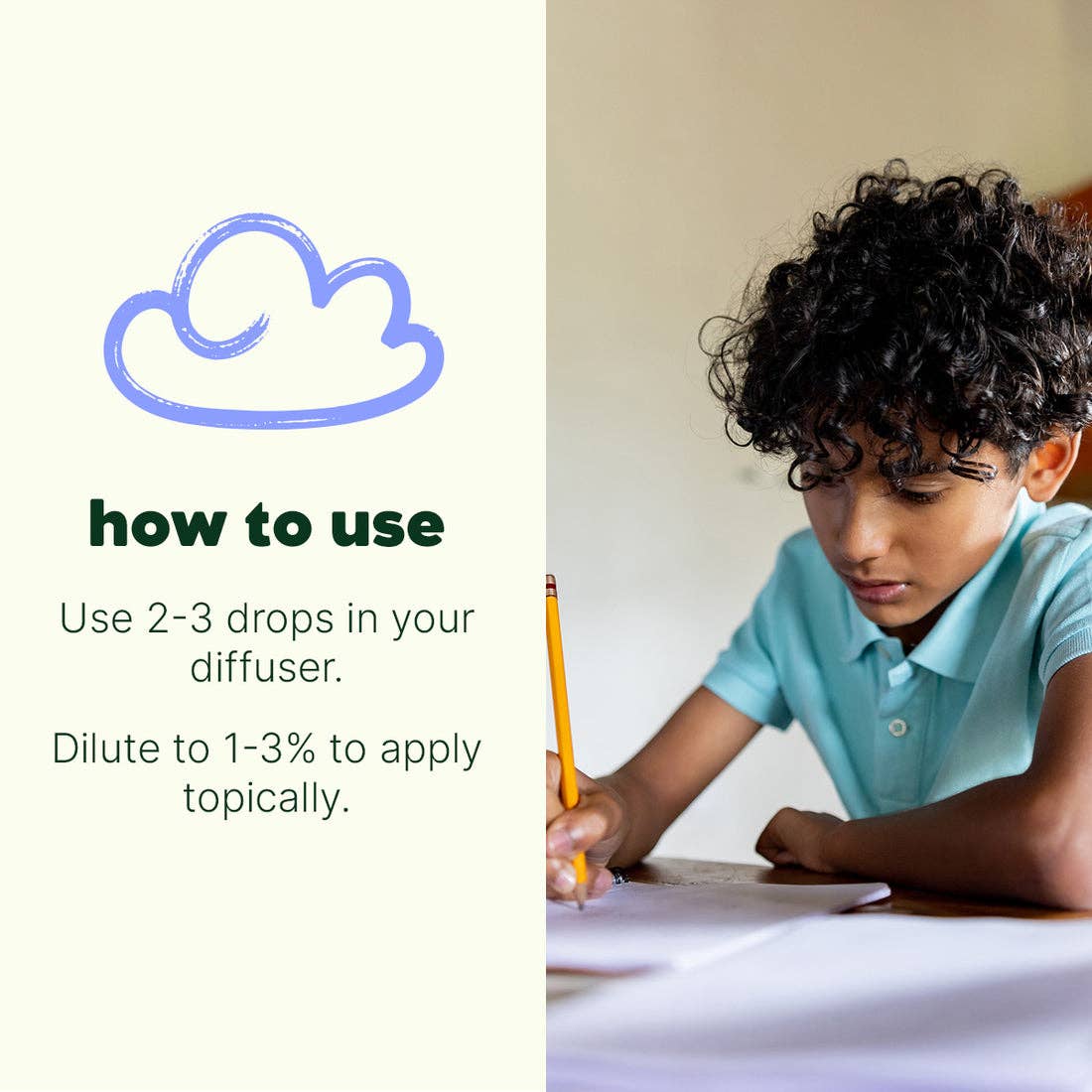 Plant Therapy - Vente Huile essentielle - Mélange d'huiles essentielles Hocus Focus KidSafe 10 ml6