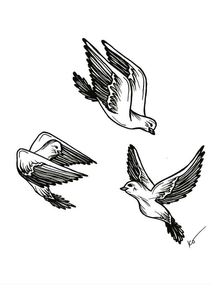 Stampa artistica Birds of a Feather (uccelli) per la vendita all'ingrosso da parte di Mind & Company