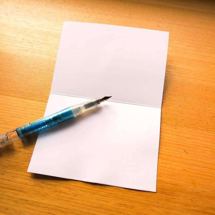 Sunshine Sea Art - Wholesale Birthday Card - Ibis Greeting Card Australian Bird Birthday Bin Chicken Card4