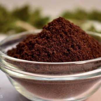 Pó de baunilha puro orgânico a granel, embalagens de 1,1 LB por atacado de earth's flavors