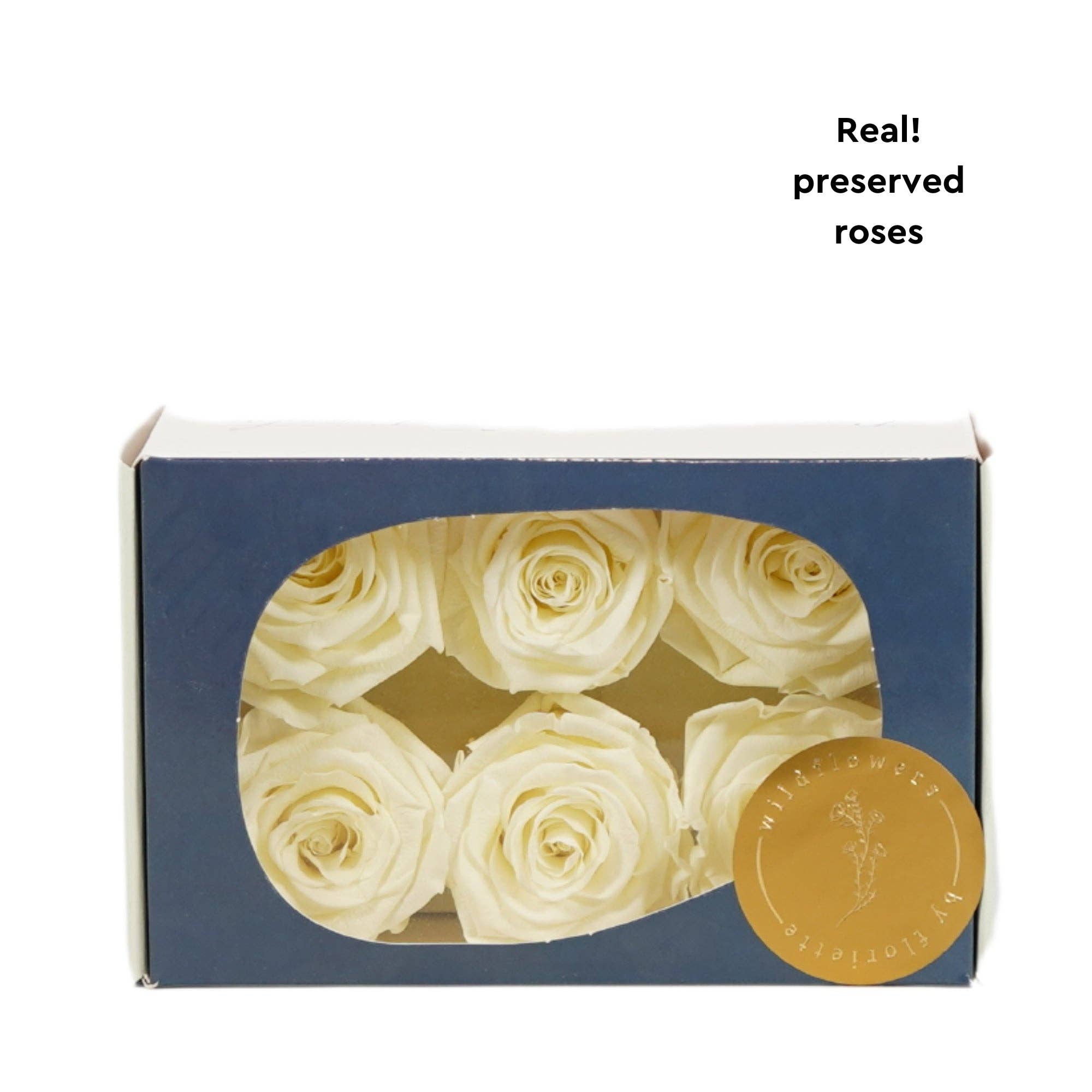 Wildflowers by Floriette - Wholesale Artificial Flowers - Rose Standard W-Box 6 white1