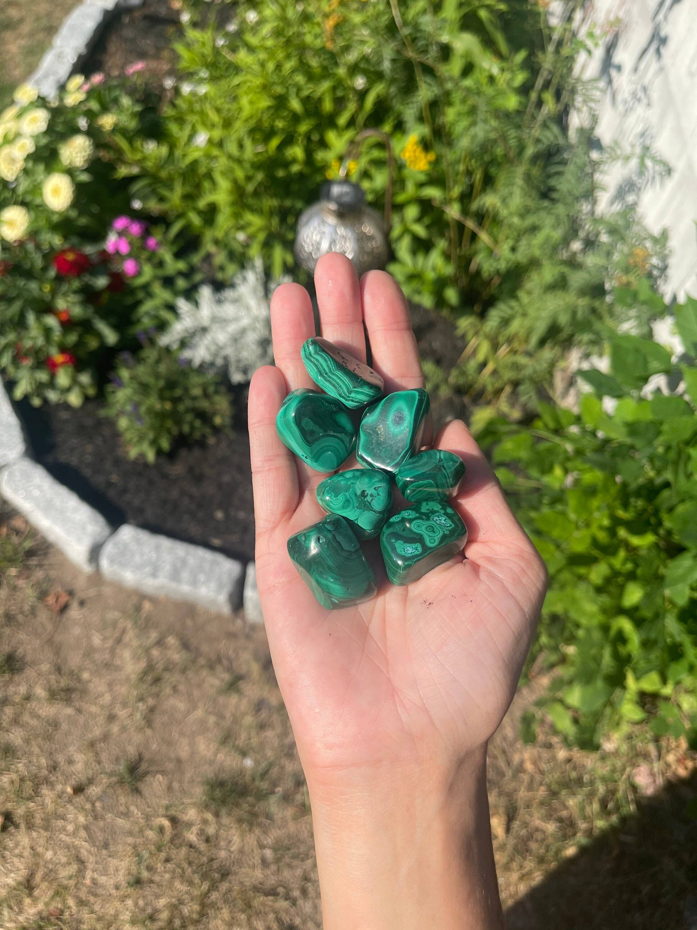 Tumbledshop – Großhandel Spiritueller Stein/Kristall – Trommelstein aus Malachitkristall, Chakra-Stein, Manifest8