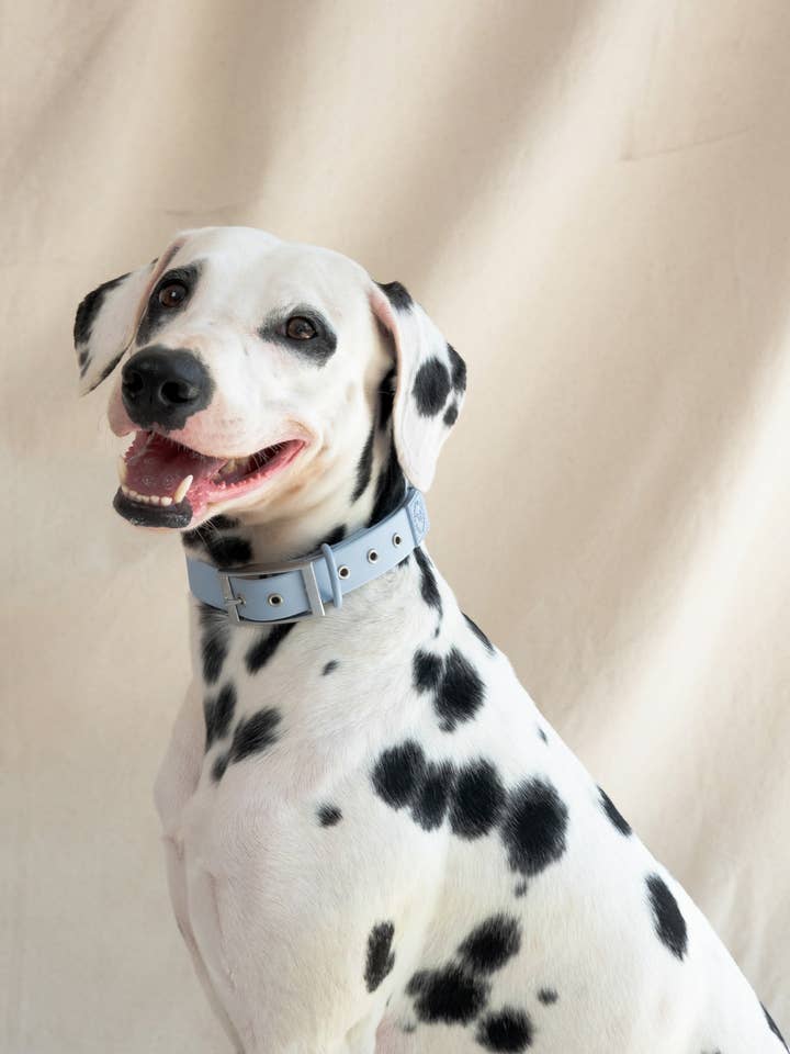 Wander! Waterproof Collar Sky for wholesale by FURRY MUSE