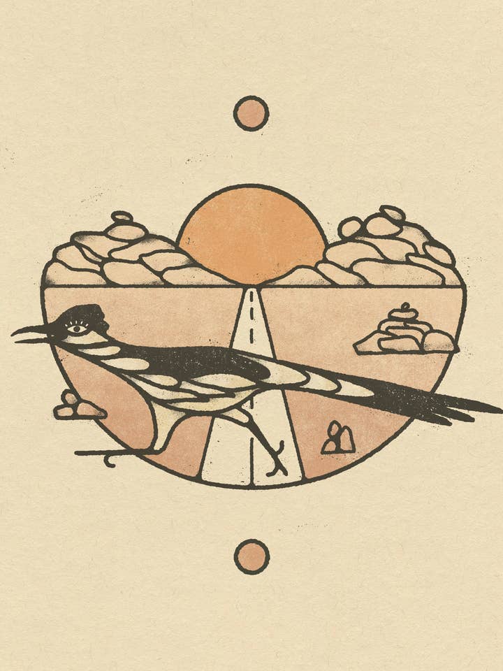 Roadrunner 8x10 Art Print for wholesale by Amber Morgan