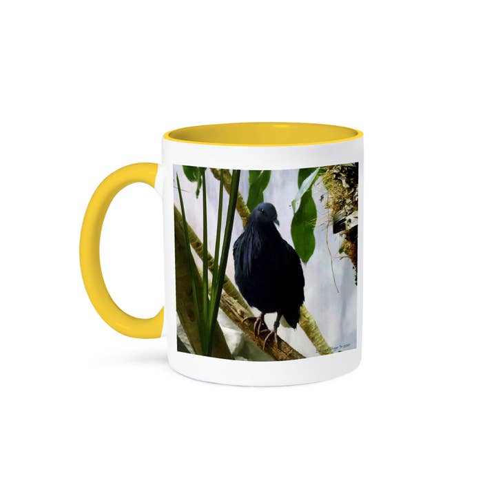 3dRose - Wholesale Coffee Mug - 3dRose, Nicobar Pigeon, Mug