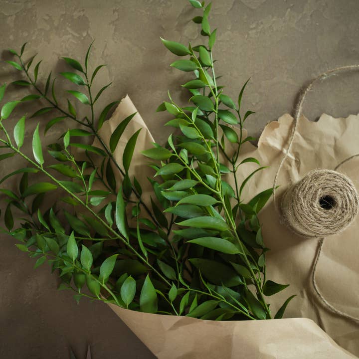 Buisson de feuilles de smilax de 30 pouces pour la vente par Ragon House