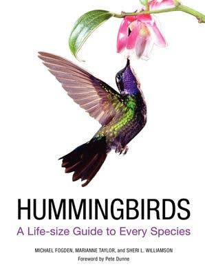 HarperCollins - Wholesale Nature & Outdoors Book - Hummingbirds: Michael Fogden0