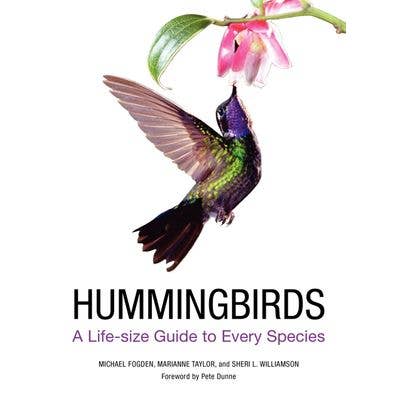 HarperCollins - Wholesale Nature & Outdoors Book - Hummingbirds: Michael Fogden