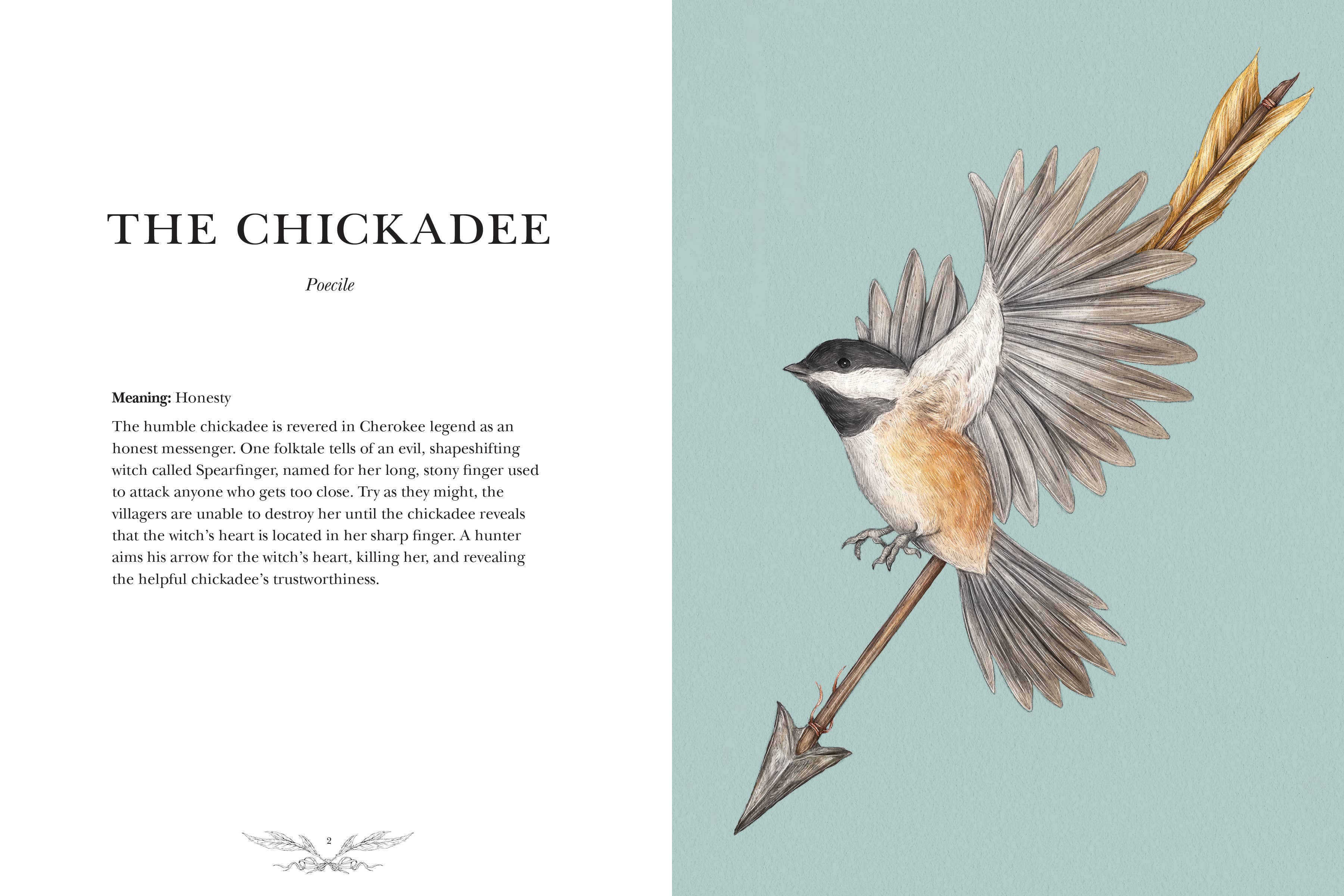 Simon & Schuster UK – wholesale Nature & outdoors book – Ornithography1