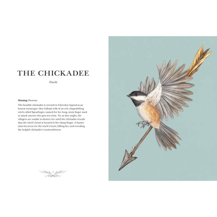 Simon & Schuster UK – wholesale Nature & outdoors book – Ornithography1
