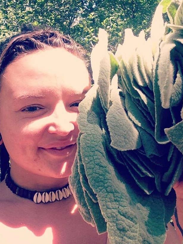 ArizonA Mullein Leaf for wholesale by Rainbow Bliss Botanicals