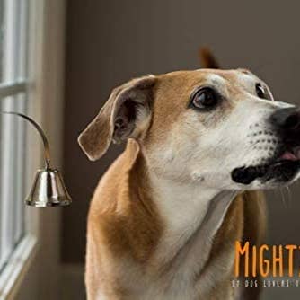 Mighty Paw – wholesale Pet toy – Dog – Mighty Paw All Metal Tinkle Bell