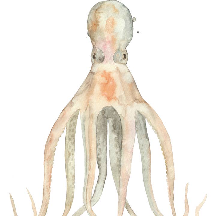 mantika studio - Wholesale Art Print - Sea Life - Octopus1