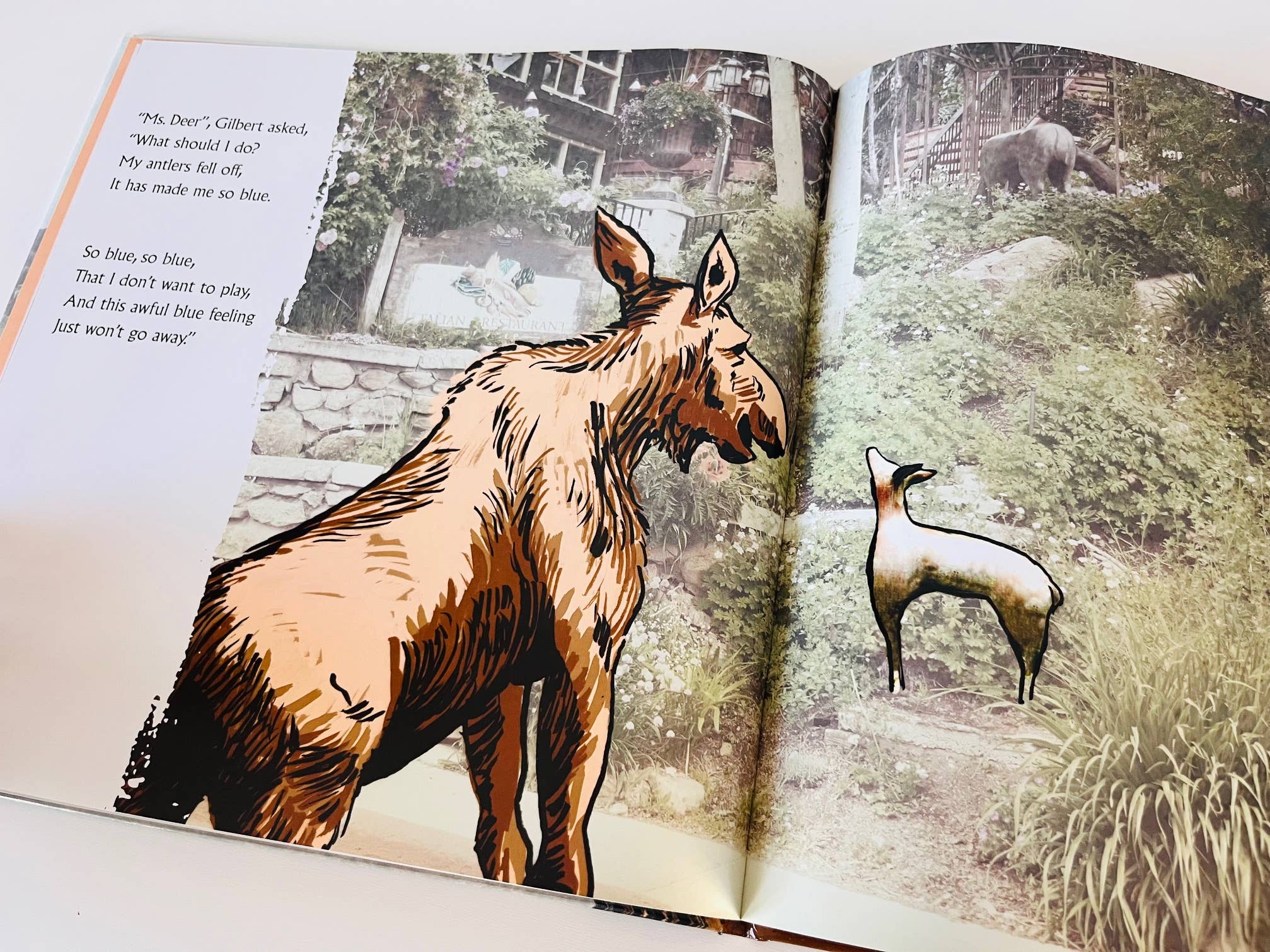 Gilbert The Moose - Rick Pieros Photography - Vendita all'ingrosso Preschool Book (3-5) - Gilbert the Moose Loses His Antlers - libro per bambini6