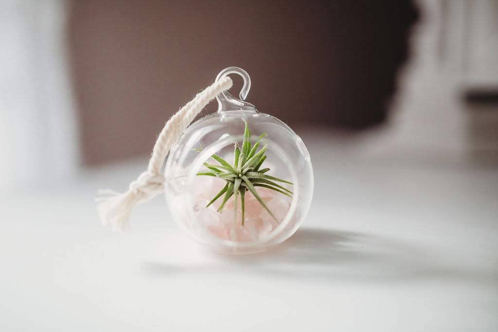 The Simply Crafty Shop - Wholesale Terrarium - Mini Orb Air Plant Terrarium Kit - Semi-Precious Stone2